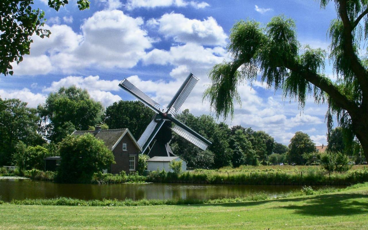 Bed & Breakfast Tegenover De Molen Haarlem Extérieur photo